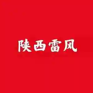 陕西雷风网络科技有限公司
