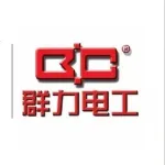 陕西群力电工有限责任公司