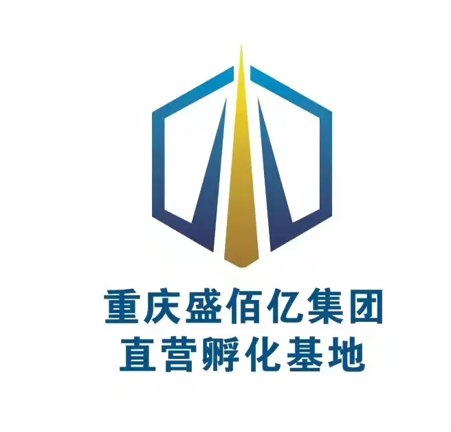 重庆盛佰亿实业有限公司