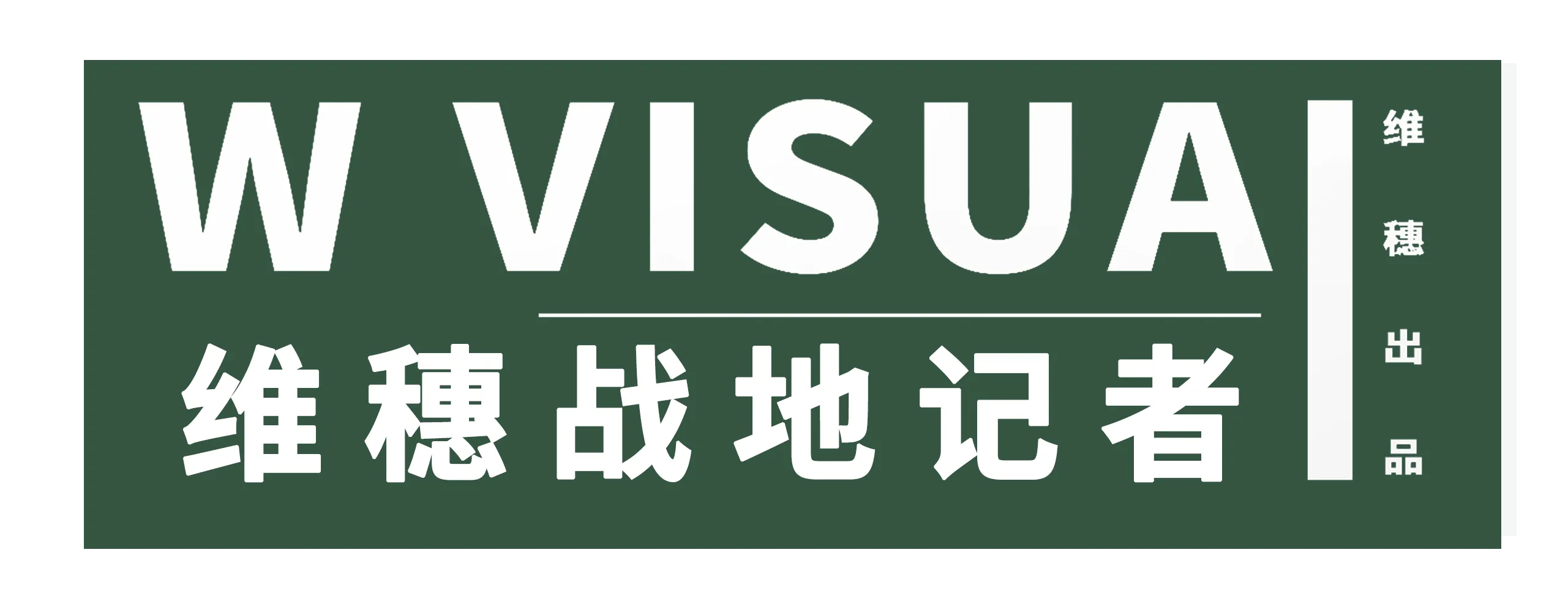 广州维穗视觉传媒有限公司