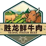 胜龙（广州）销售有限公司