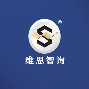 广州维思智询文化服务咨询有限责任公司