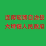 连南瑶族自治县大坪镇财政所