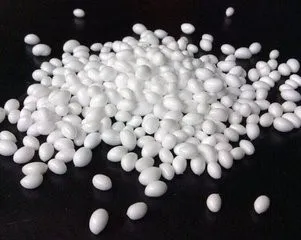 粒子