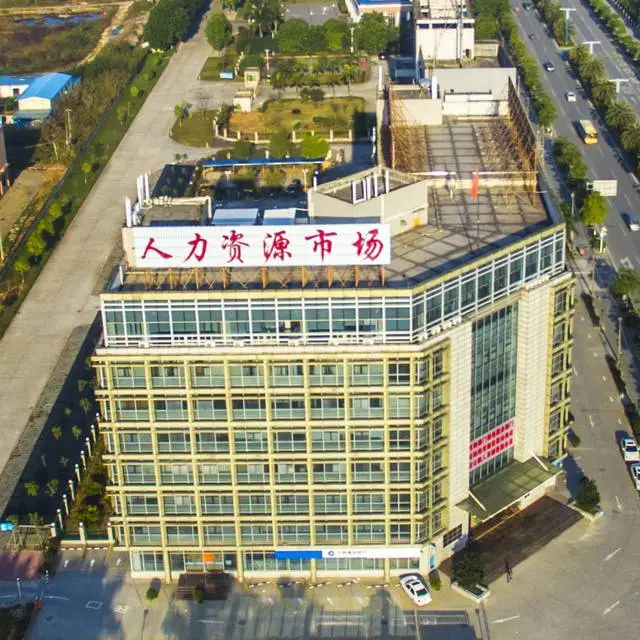 区门户网站