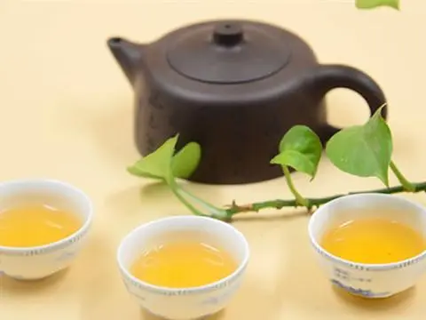 茶艺培训