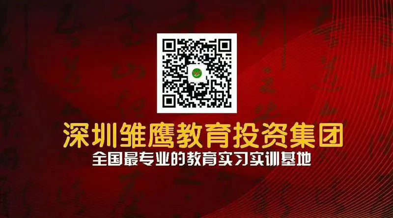 深圳市雏鹰教育投资发展有限公司
