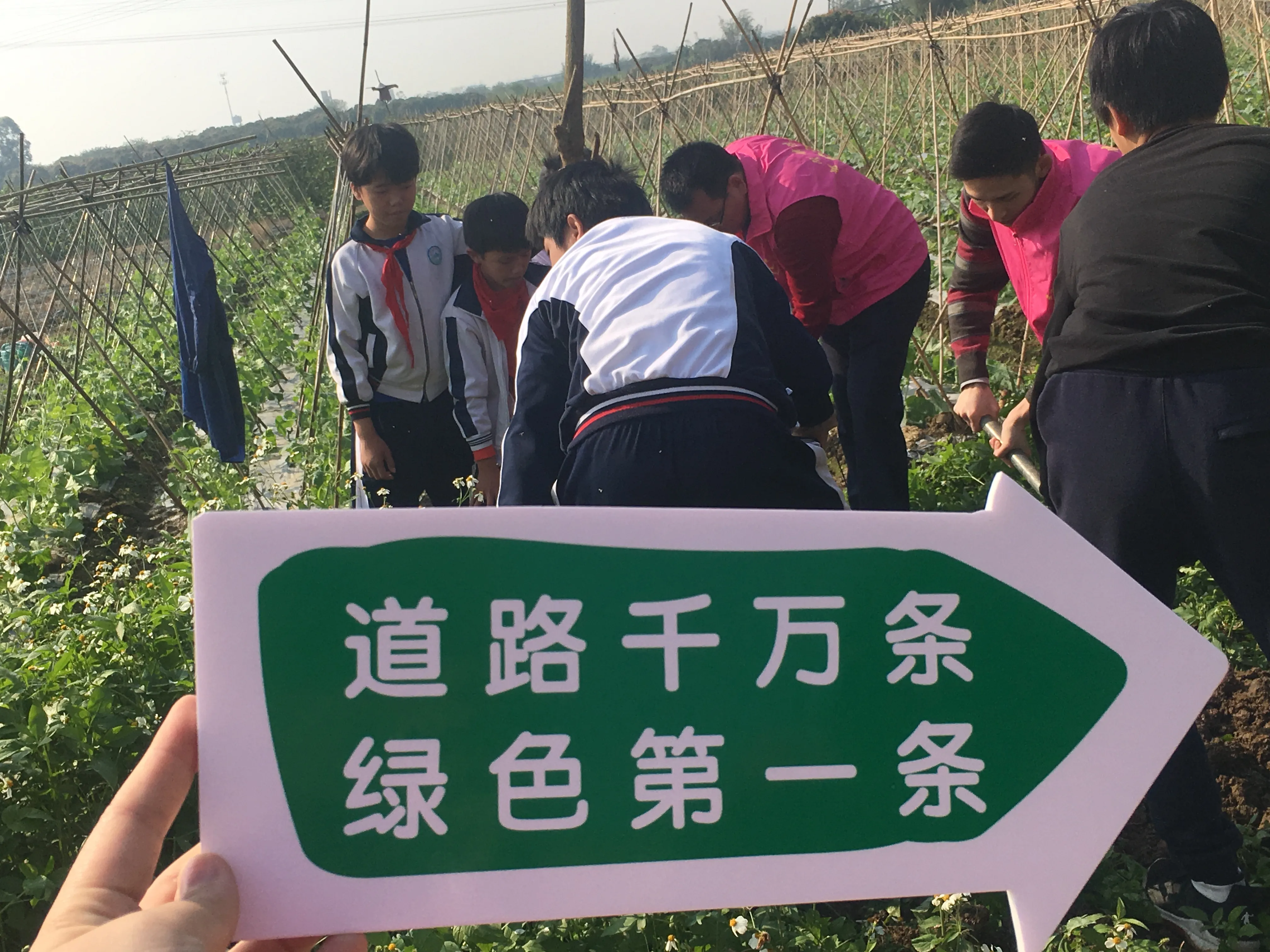 主题活动