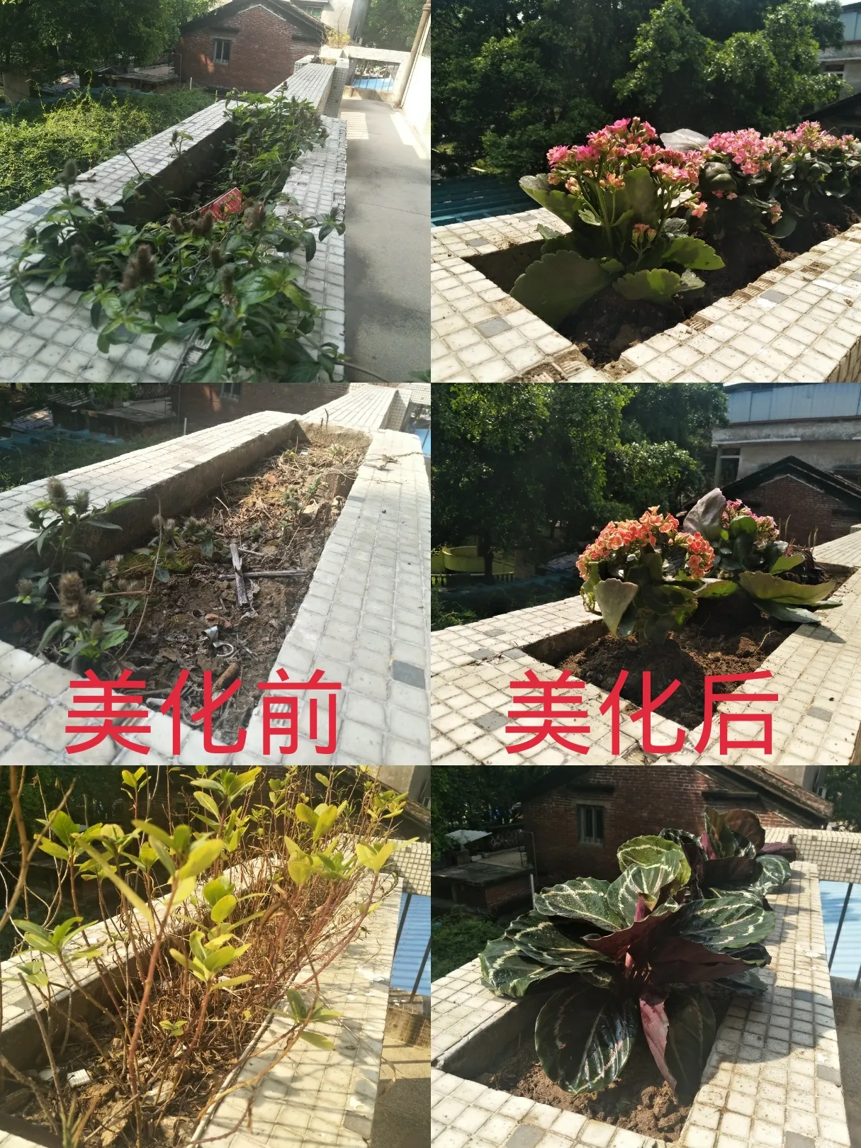 新隆村青基工程青年志愿服务项目