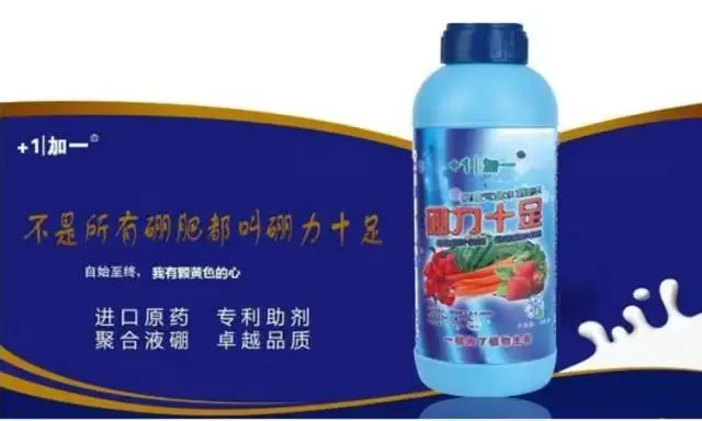 硼力十足