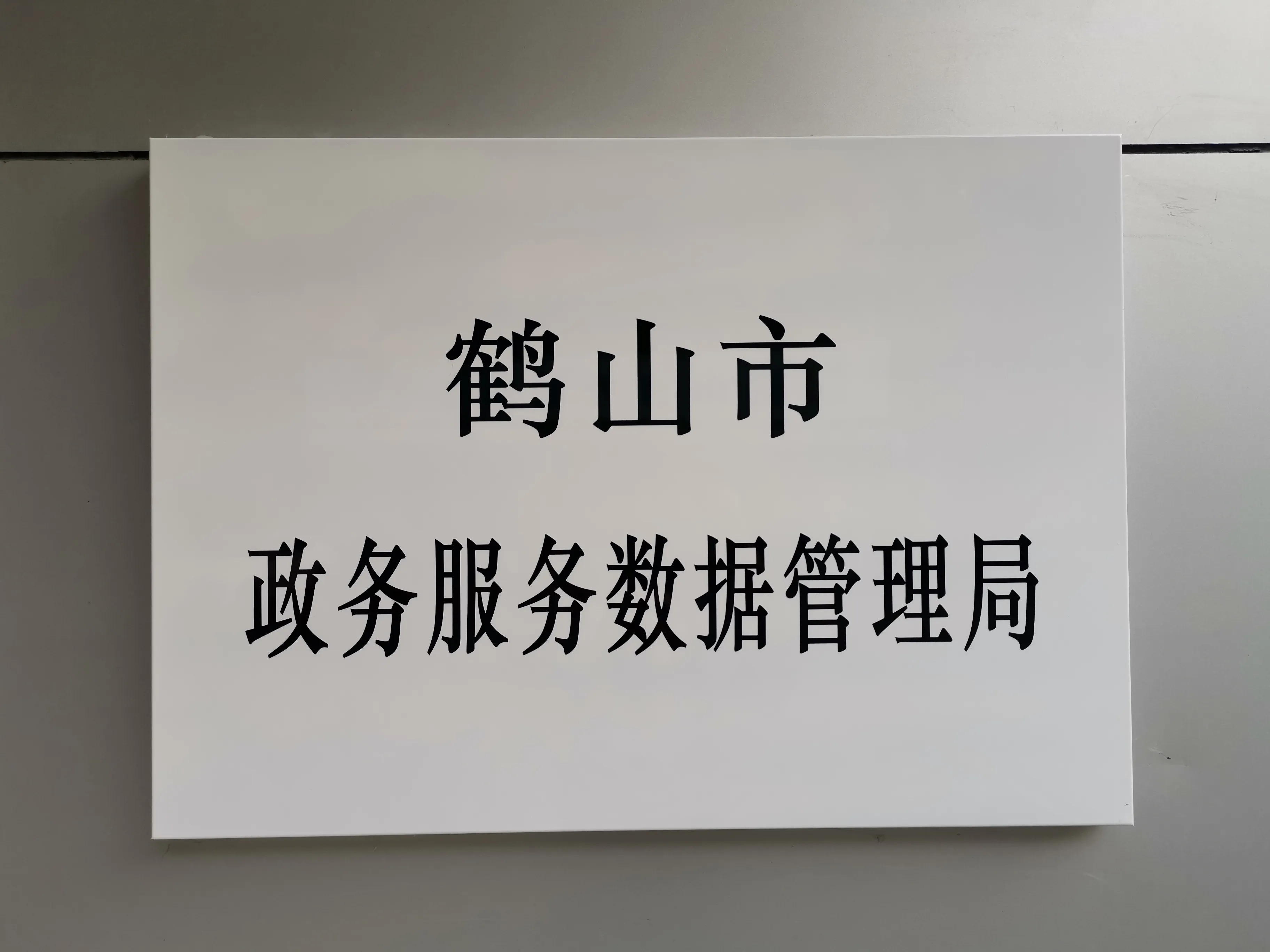 政务服务、电子政务