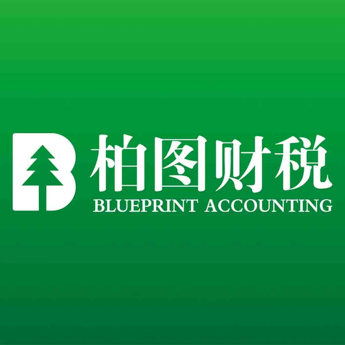 产品包括企业注册变更、财税代理、补贴、出口退税代理、财税知识培训、财税咨询及筹划、企业财务体系落地等。凭借专业的技术和优质的服务，柏图财税赢得了众多客户的信赖，领跑于南中国财税代理及咨询服务业。