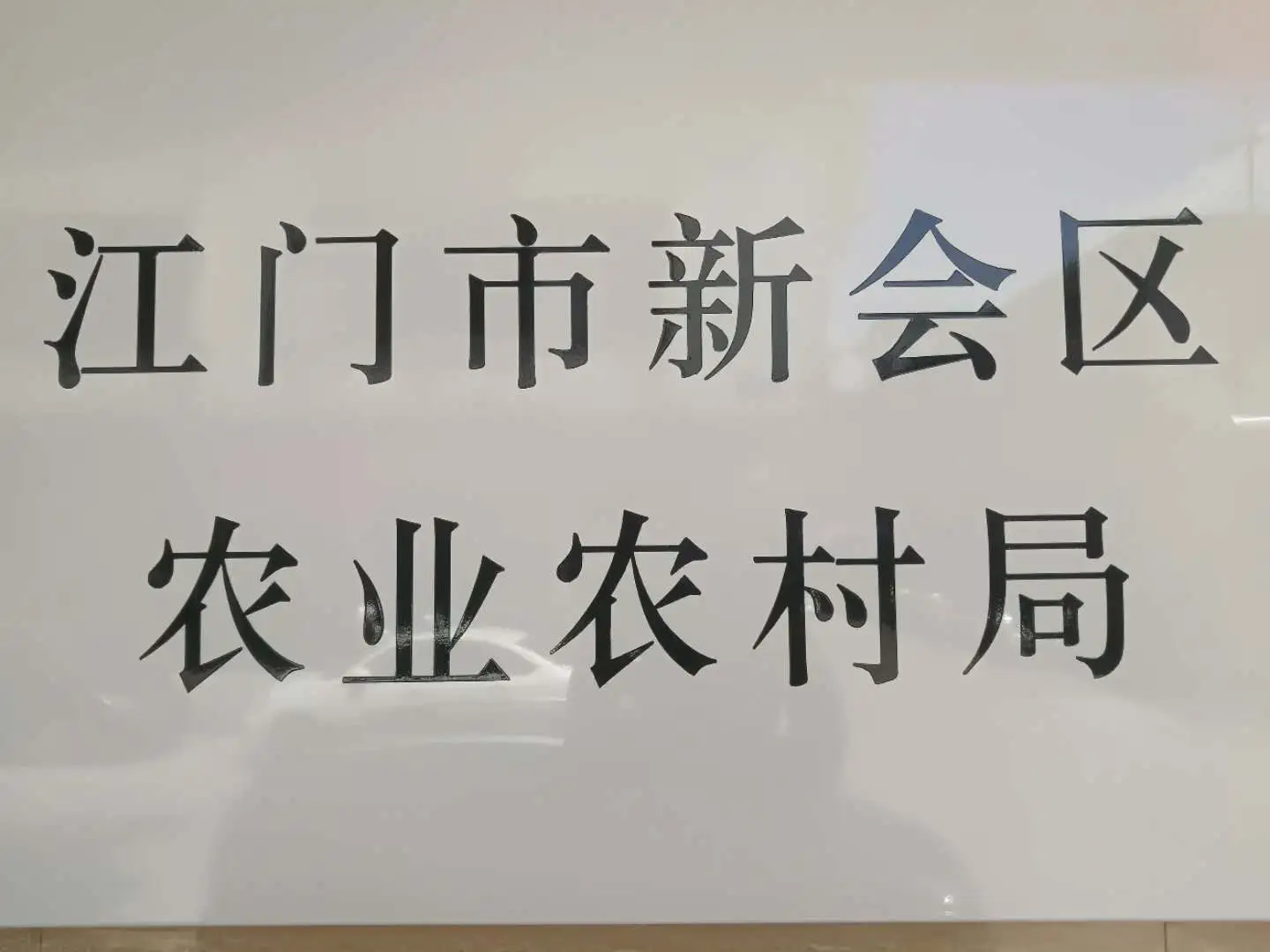 指导工作