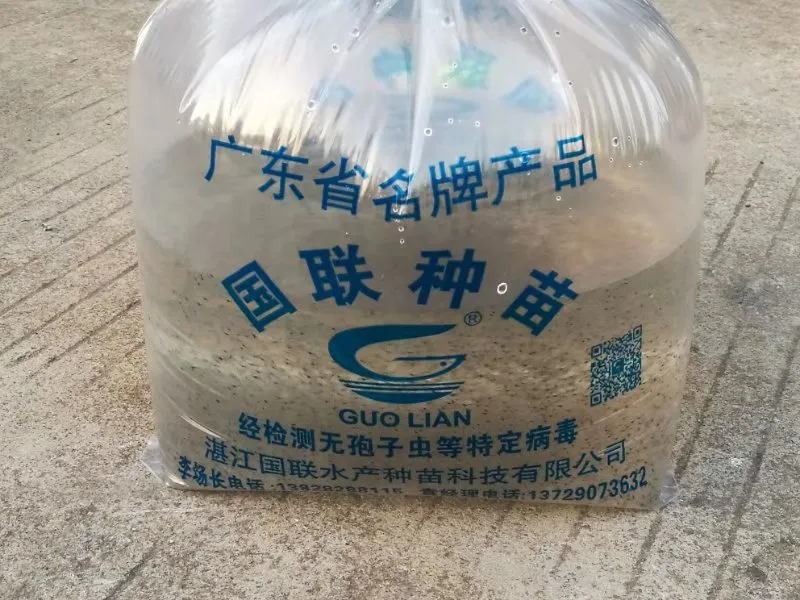 虾苗