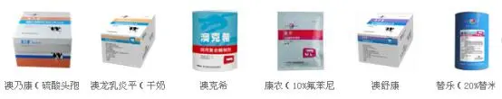 东方澳龙系列产品