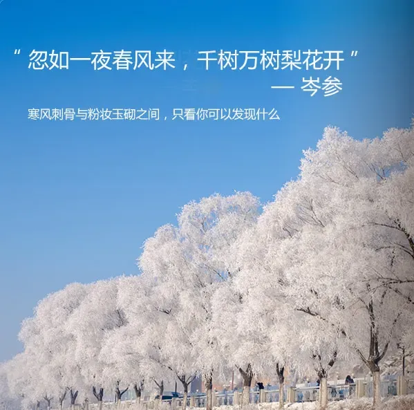 学而思大语文