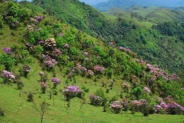 鸡笼顶风景区