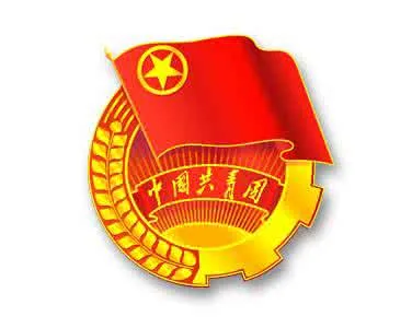 青年服务项目