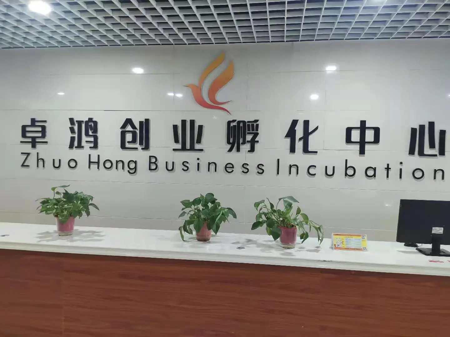 卓鸿创业孵化