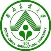 本科教育