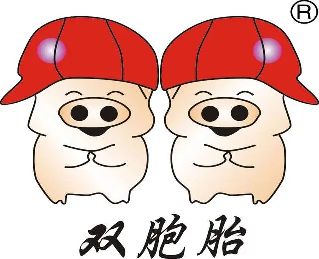 双胞胎饲料成品