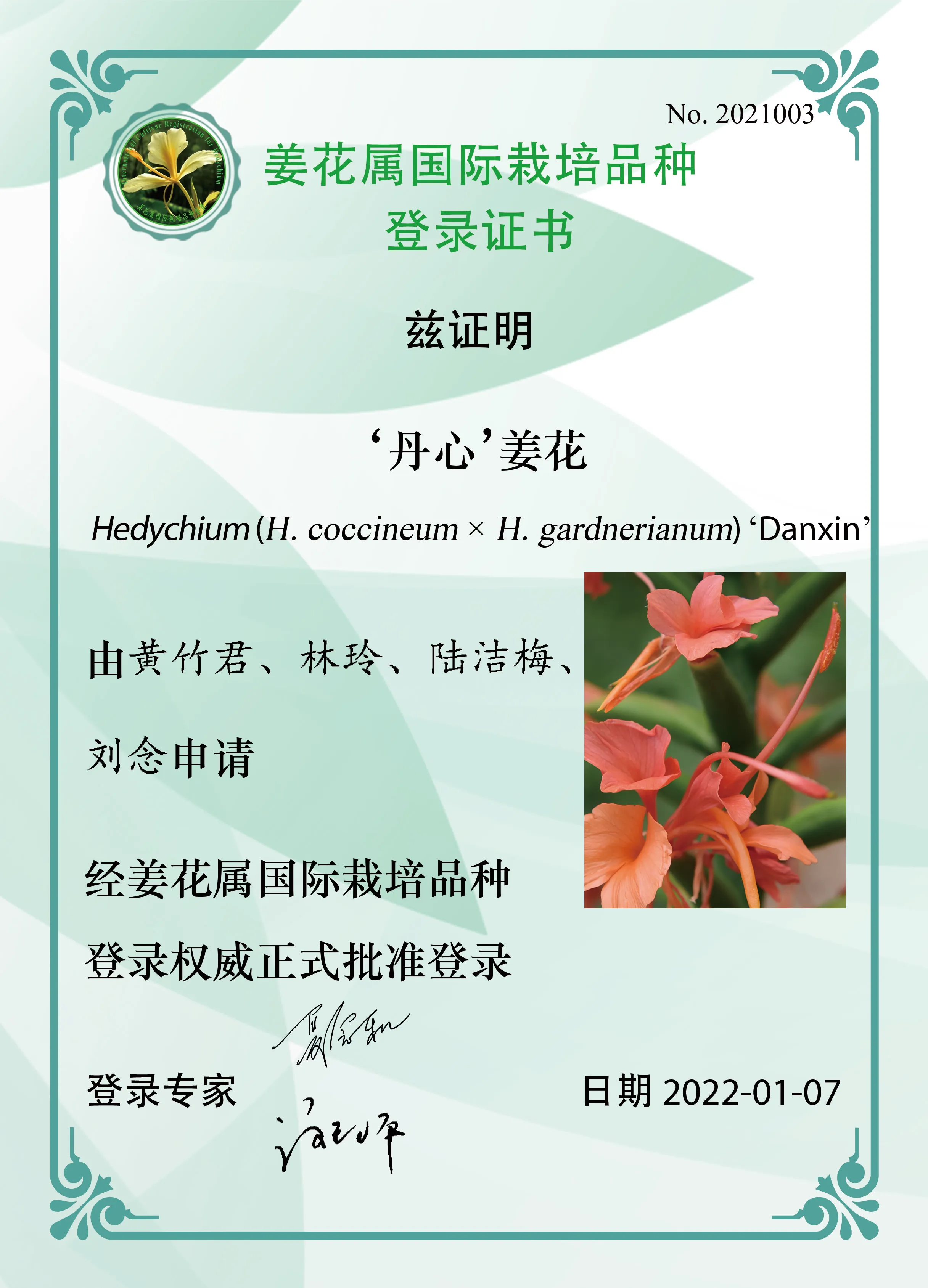 姜花属花卉新品种‘丹心’