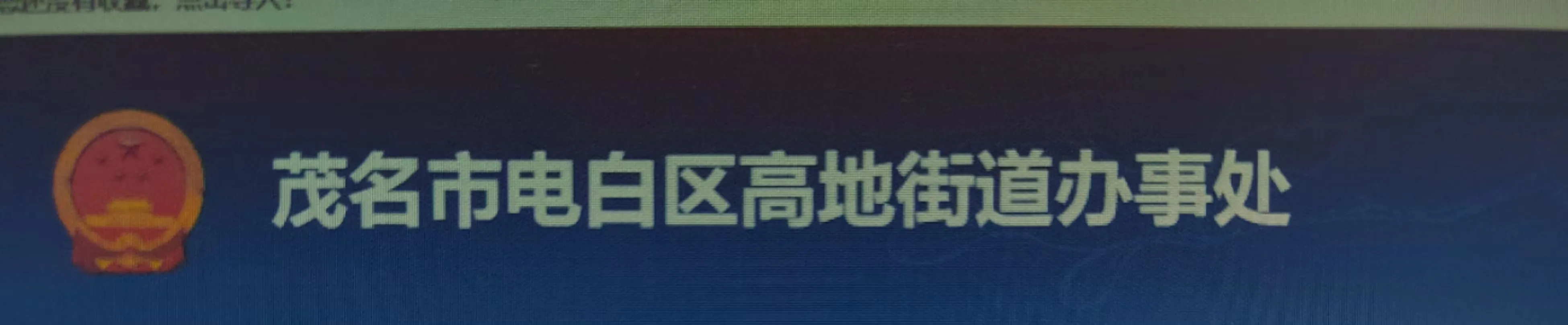 执行上级政府决策，提供公共服务