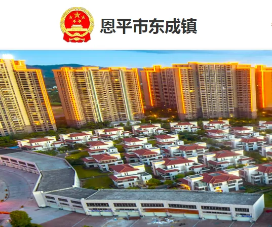政府网站