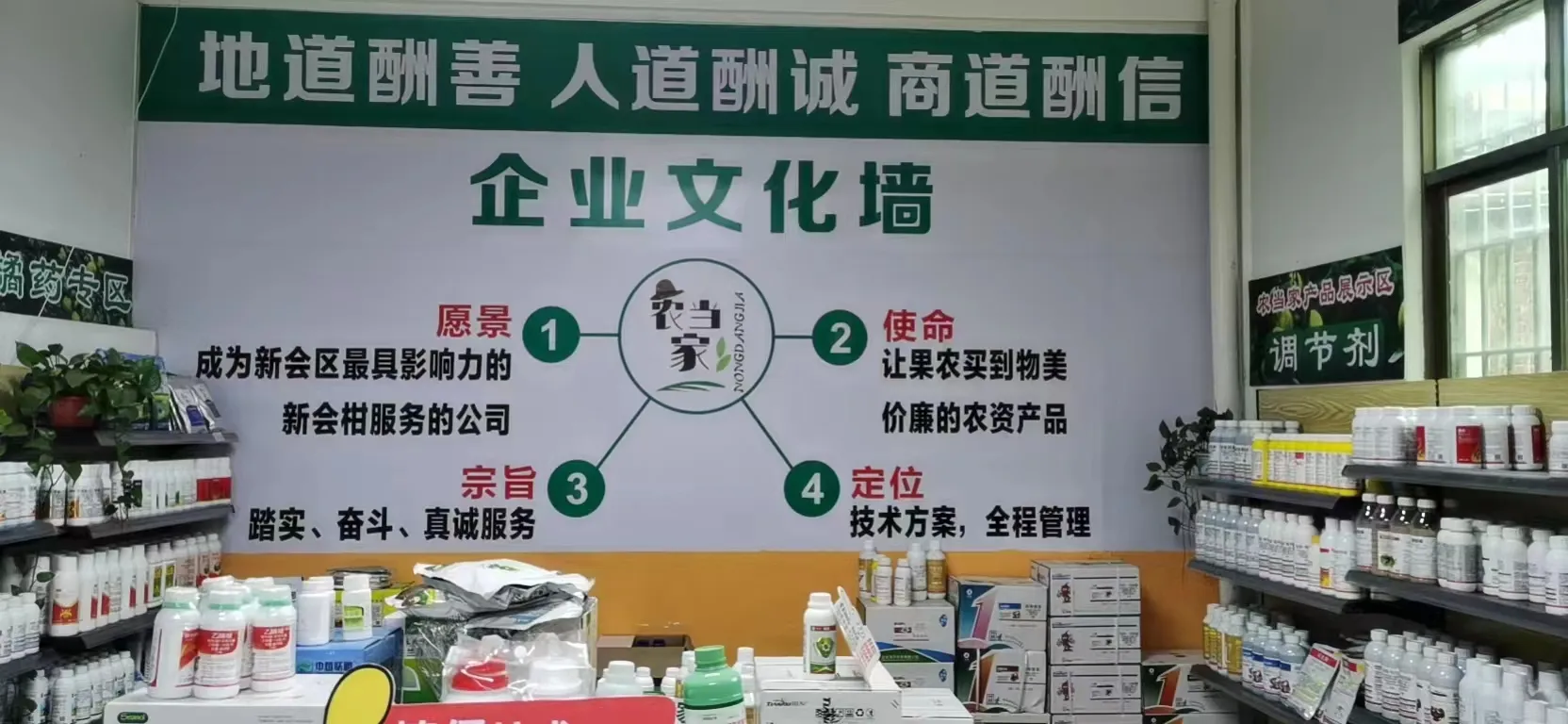 柑橘种植技术方案
