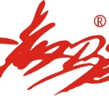 广州凌骏数码科技有限公司