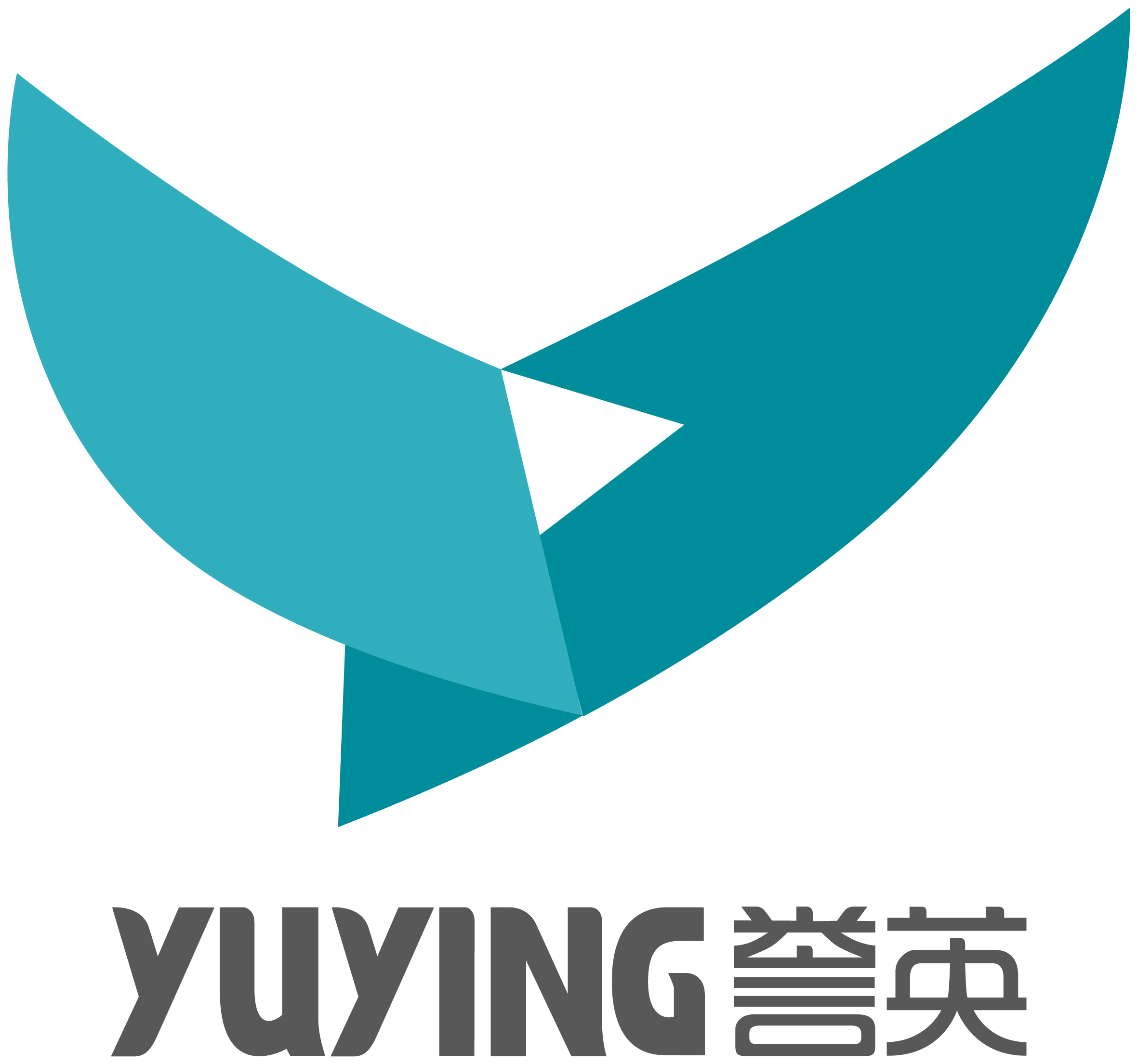 广州誉英信息科技有限公司