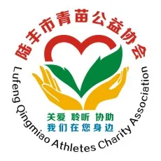 陆丰市青苗公益协会