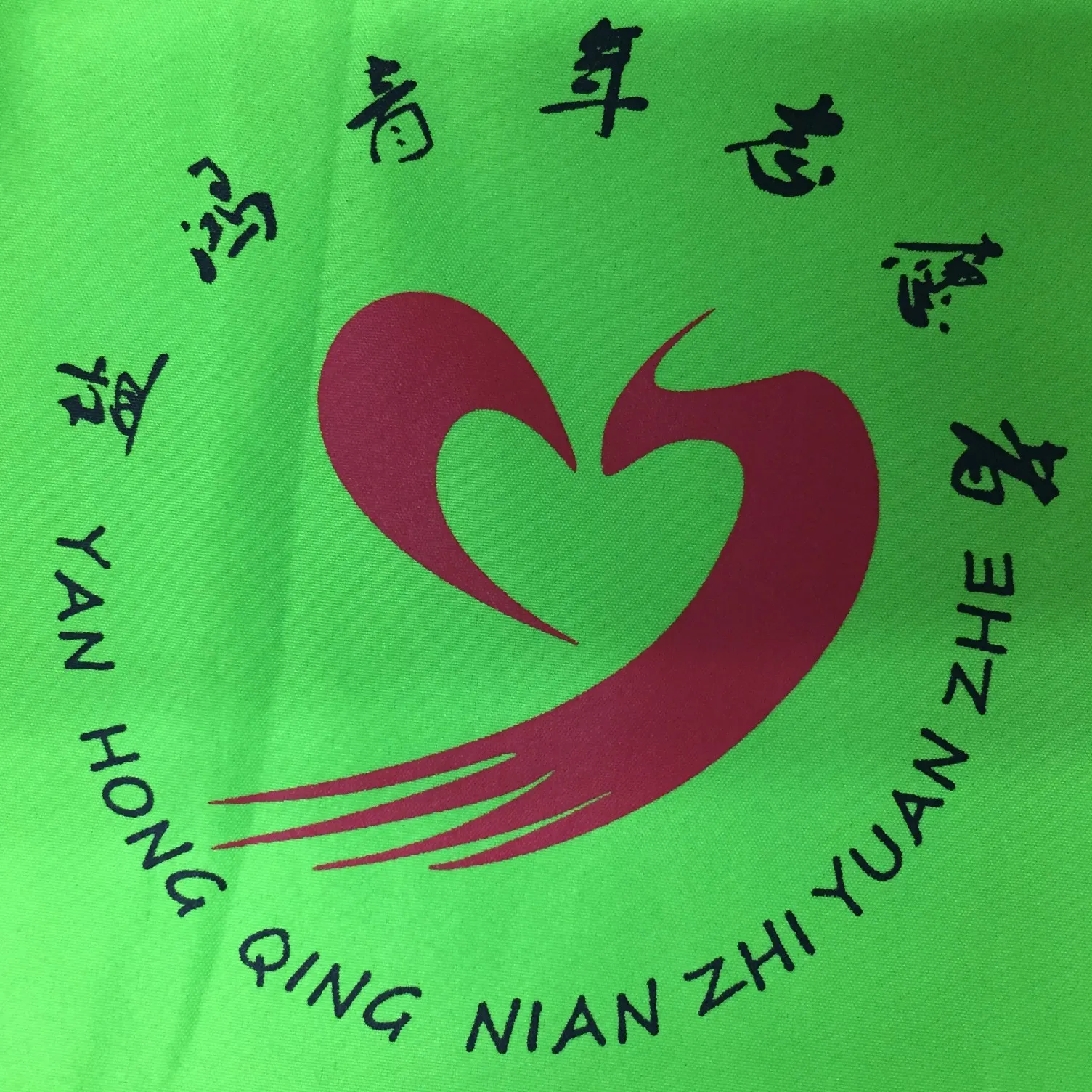 盐鸿镇青年志愿者协会
