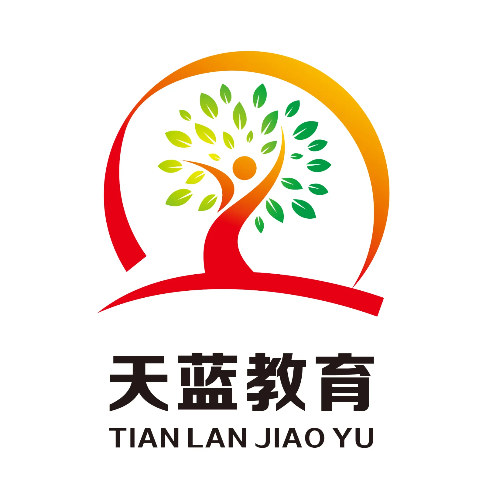 东莞市东声教育投资有限公司
