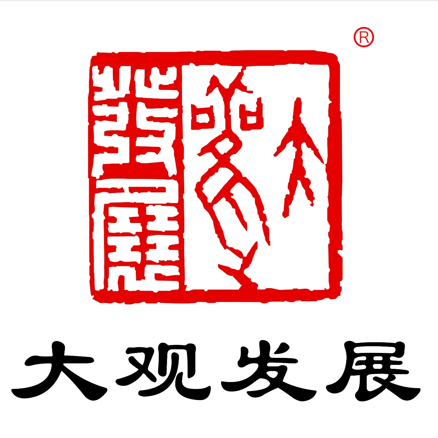 化州市大观科技发展有限公司