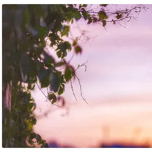 丰顺县龙岗镇人民政府