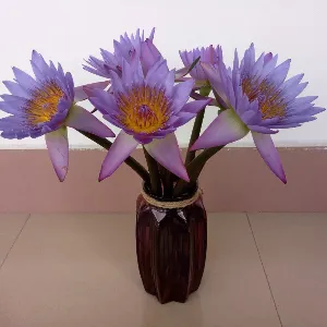 中国共产主义青年团茂名市委员会