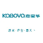 广东嘉宝华医药集团股份有限公司