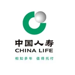 中国人寿保险股份有限公司湛江市赤坎区支公司