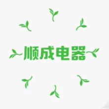 东莞顺成电器有限公司