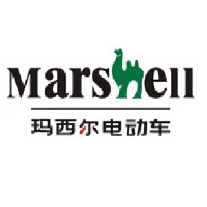 广东玛西尔电动科技有限公司