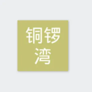 湖南铜锣湾广场投资有限公司