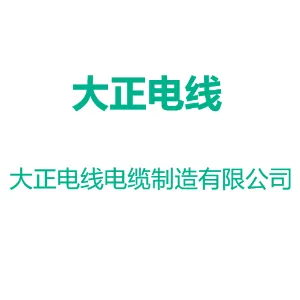 中山市大正电线电缆制造有限公司