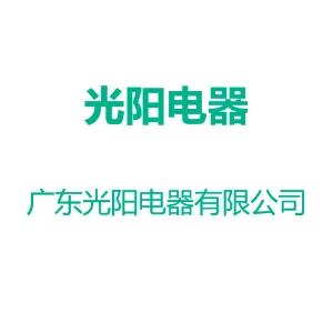 广东光阳电器有限公司