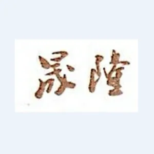 广州市晟隆财务咨询有限公司