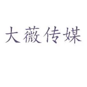 佛山市大薇传媒有限公司