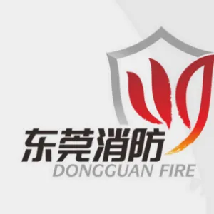 东莞市东城专职消防队