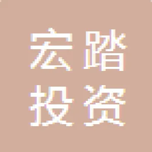 湖南省宏踏投资有限公司