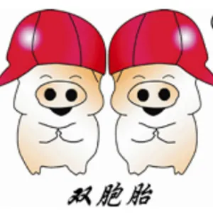 双胞胎（集团）股份有限公司