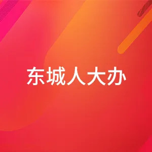 东莞市东城街道人大工作联络委员会